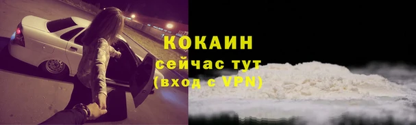 прущие крисы Алексеевка