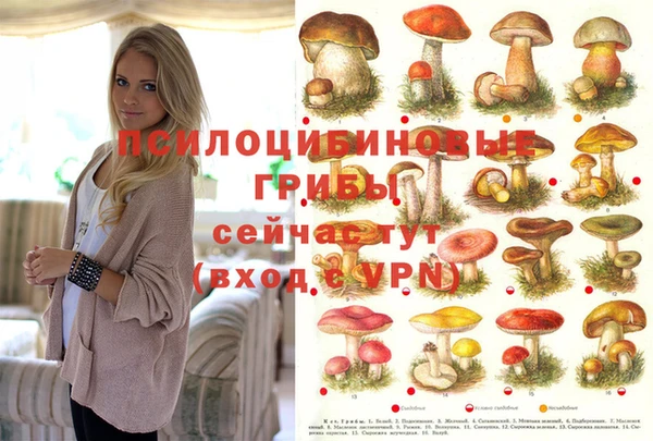 мет Арсеньев